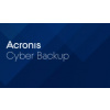 Acronis Cyber Protect - Backup Advanced Server Subscription License, 5 Year - Renewal, A1WAEKLOS21