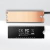 CLR M2FAN 05 bottom 600