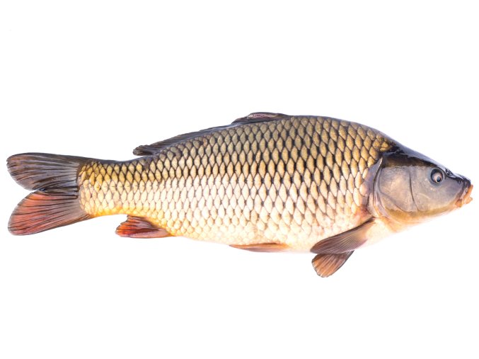 shutterstock 252820936