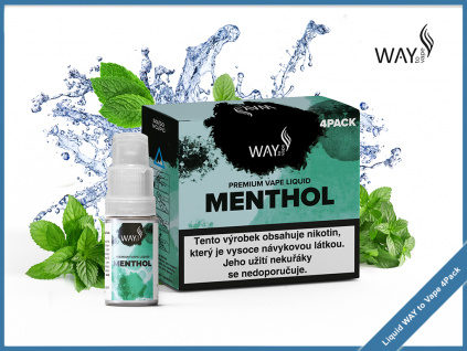 menthol Liquid WAY to Vape 4pack