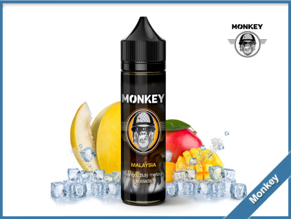 Malaysia monkey 1
