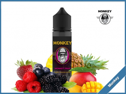 monkey fruit monkey