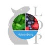 LOP Heisenberg (Ovoce, Máta) Aroma