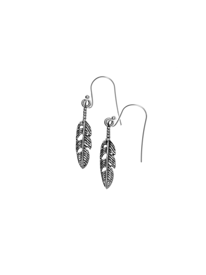 silverimages 0157