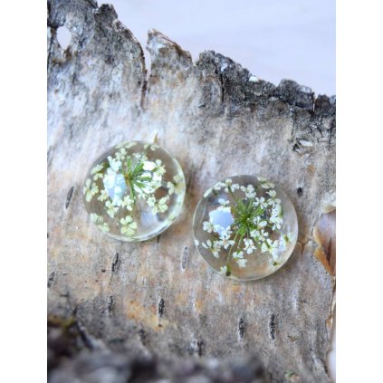 Nový projekt(137) (1)