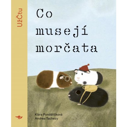 co museji morcata obalka
