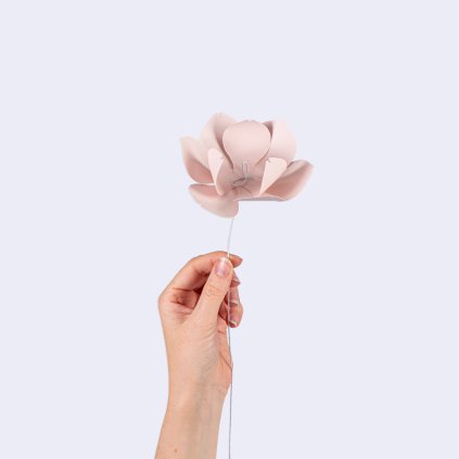 magnolie pudrova