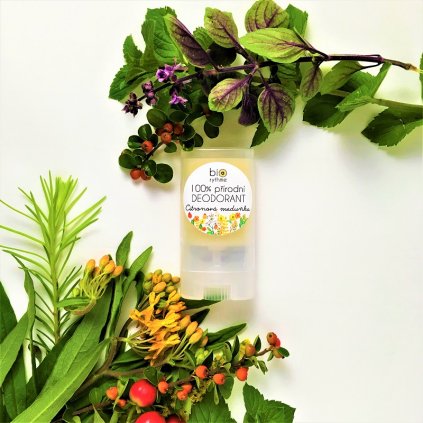 Citronová meduňka 15 g 800px