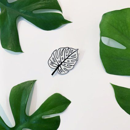 Brož Bramboo Monstera