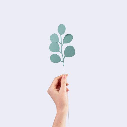 Papírové květy 6ks Pamperap Eucalyptus