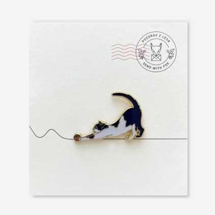 Pin Pozdrav z lesa Kočka černá