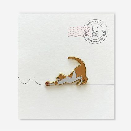 Pin Pozdrav z lesa Kočka hnědá