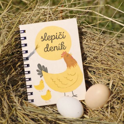 DD7B4D83 D12A 4A47 B206 4942628BD930