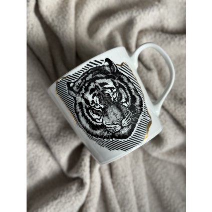 40738E0D C5DF 455C B908 010A32EB6E1B