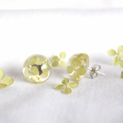 vyr 460 pecky hortenzie zelene