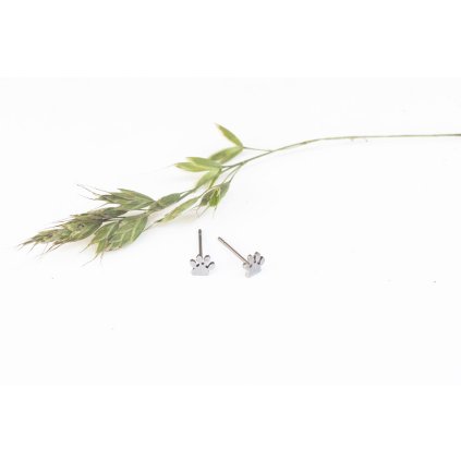 Náušnice Intimity Tlapky