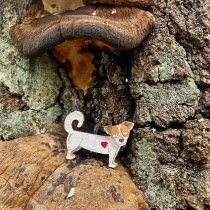 Brož Jelly Fish Pajda