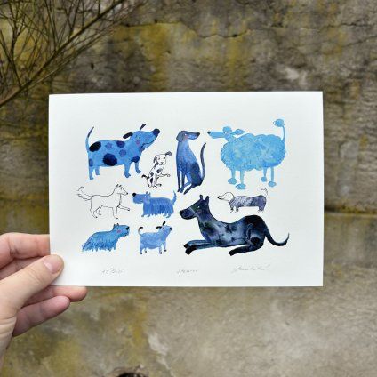 Grafika Stellion Psíci