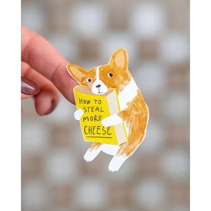 corgi