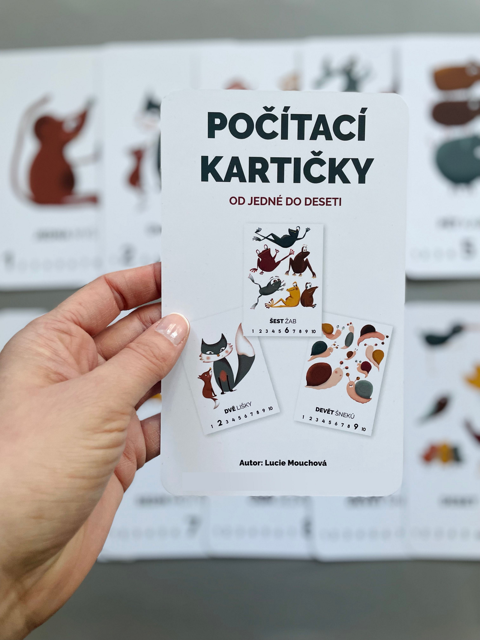 Počítací karty Lucie Mouchová