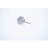 14337 2 broz intimity monstera
