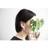 29333 3 nausnice intimity monstera