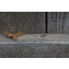 37994 3 nausnice intimity trojuhelniky variabilni