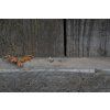 37997 2 nausnice intimity kruhy variabilni