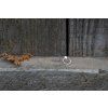 37997 4 nausnice intimity kruhy variabilni