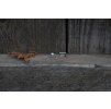 38000 3 nausnice intimity ctverec variabilni