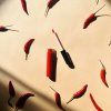 73391 2 lesk na rty michala ul77 chilli