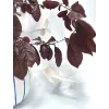 102 2 papirovi ptacci pro radost zavesna dekorace bila recycled