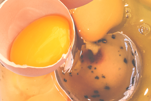 Ako spoznáš pokazené vajce?