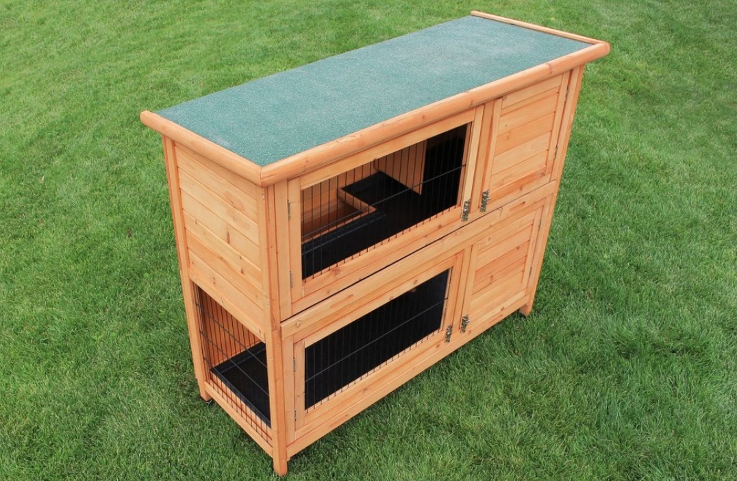 Králíkárna: První krok ke šťastným králíkům i spokojenému chovateli