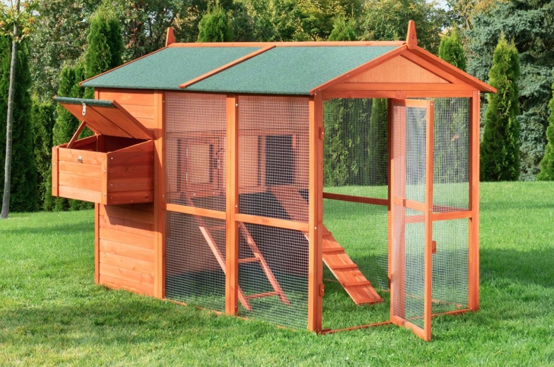 Jaké náležitosti má mít kvalitní kurník pro slepice