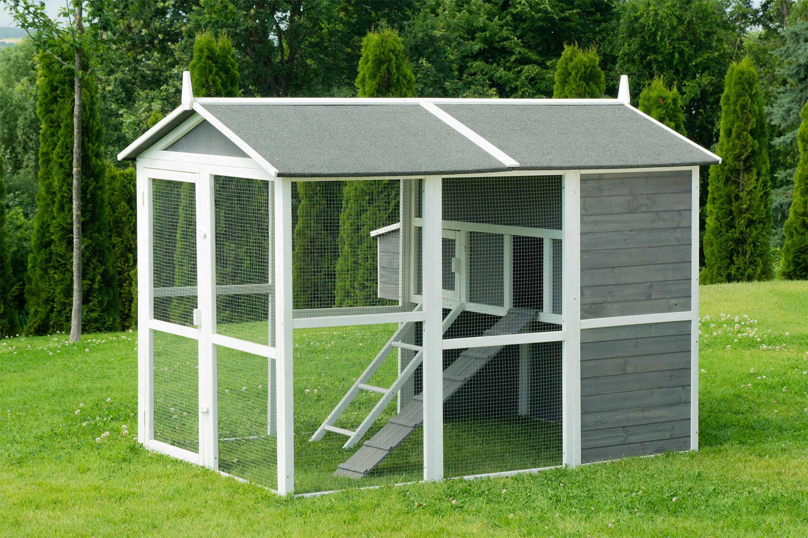 Jak vybrat ideální kurník pro slepice? Průvodce pro začínající i profi chovatele