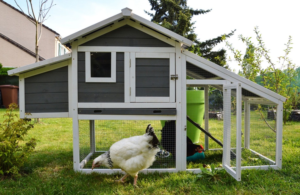 Proč slepicím pořídit mobilní kurník s výběhem: 7 důvodů, které změní váš pohled na chov drůbeže