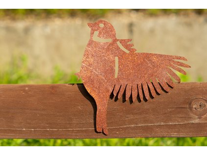 144 web c 2u dsc04436 edit kopie