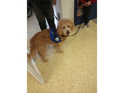 WhatsApp Image 2023 11 24 at 17.13.45