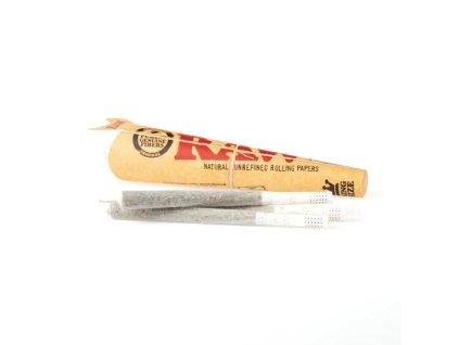 obrázek 2026 02 12 122850297