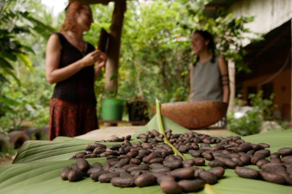 6 důvodů, proč kakao pozitivně ovlivňuje náladu