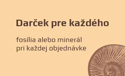 Darček pre každého