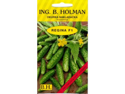 HOLMAN Uhorka nakladačka hruboostná REGINA F1 2,5g