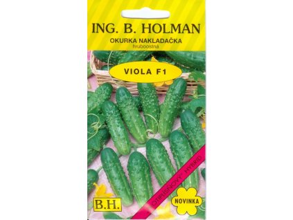 HOLMAN Uhorka nakladačka hruboostná VIOLA F1 2g