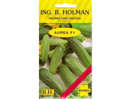 HOLMAN Uhorka nakladačka jemnoostná AUREA F1 2g