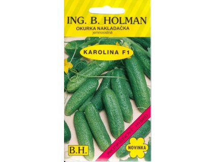 HOLMAN Uhorka nakladačka jemnoostná KAROLINA F1 2g