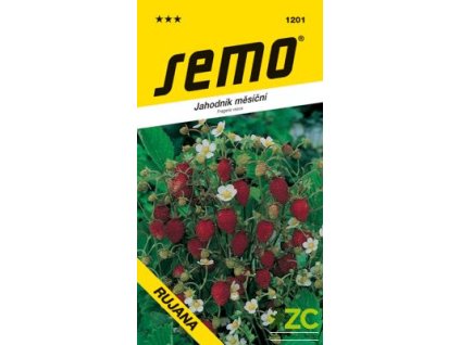 SEMO Jahoda mesačná RAJÁNA 0,2g
