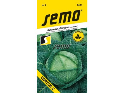 SEMO Kel hlávkový neskorý Vertus 1421 1g