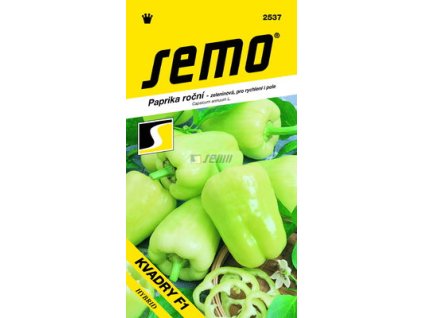SEMO Paprika ročná KVADRY F1 2537 15s