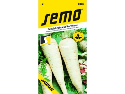 SEMO Petržlen koreňový JADRAN 3005 2,5g